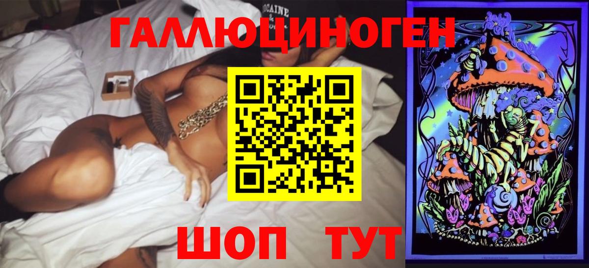 Псилоцибиновые грибы Cubensis  цены   Гусев  Вход с VPN 